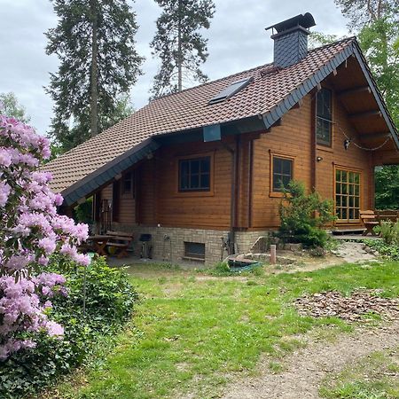 Waldhaus Eichhoernchen Bad Schmiedeberg Eksteriør bilde