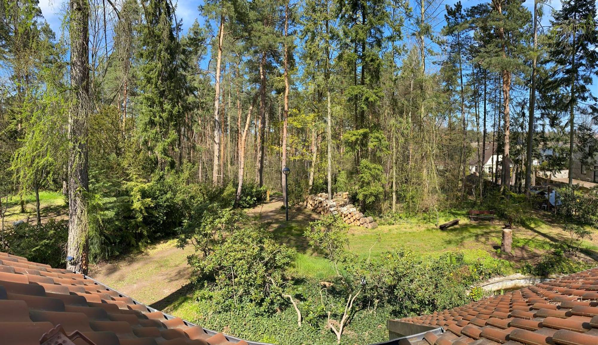 Waldhaus Eichhoernchen Bad Schmiedeberg Eksteriør bilde