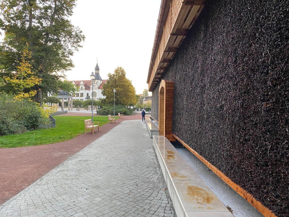 Waldhaus Eichhoernchen Bad Schmiedeberg Eksteriør bilde