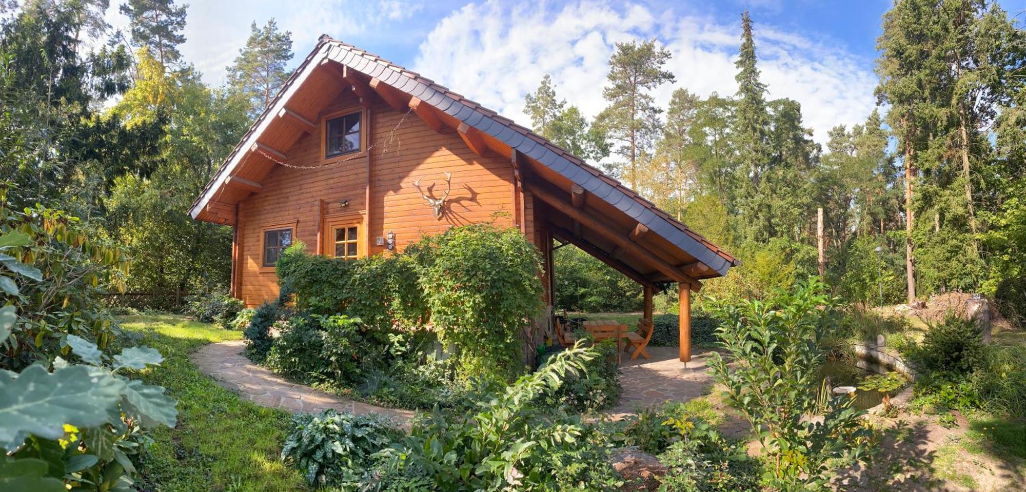 Waldhaus Eichhoernchen Bad Schmiedeberg Eksteriør bilde