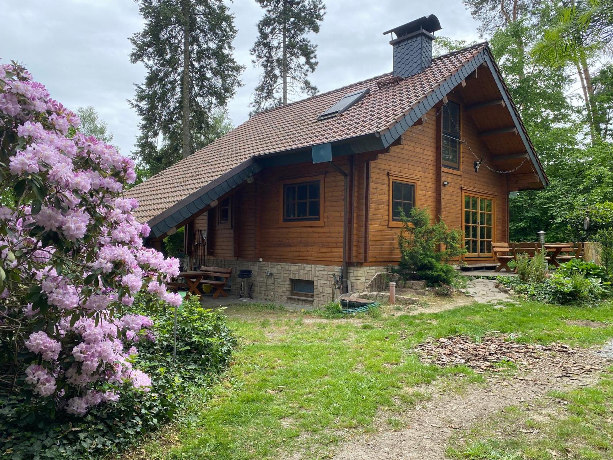 Waldhaus Eichhoernchen Bad Schmiedeberg Eksteriør bilde
